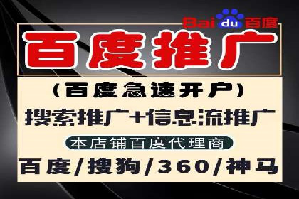 某电商平台的sem竞价推广托管经验